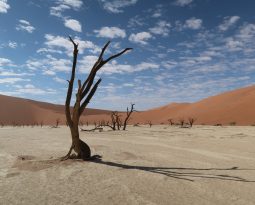 Sossusvlei – Auf zu den höchsten Sanddünen der Welt