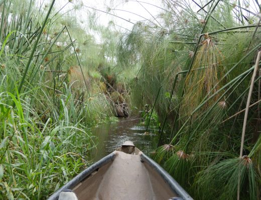 Auf dem Weg ins Okavango Delta